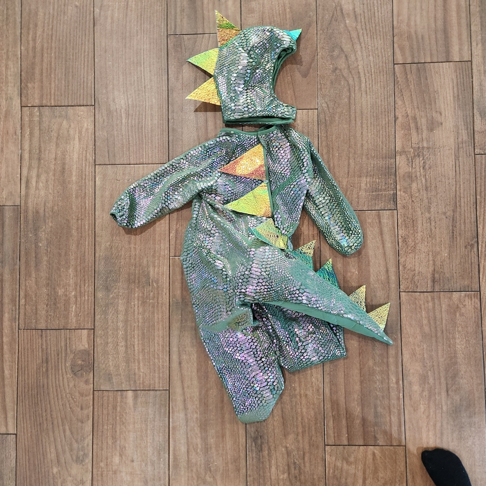 California Costumes Kid-A-Saurus Rex Halloween costume Toddler M 3t 4t - Picture 10 of 12